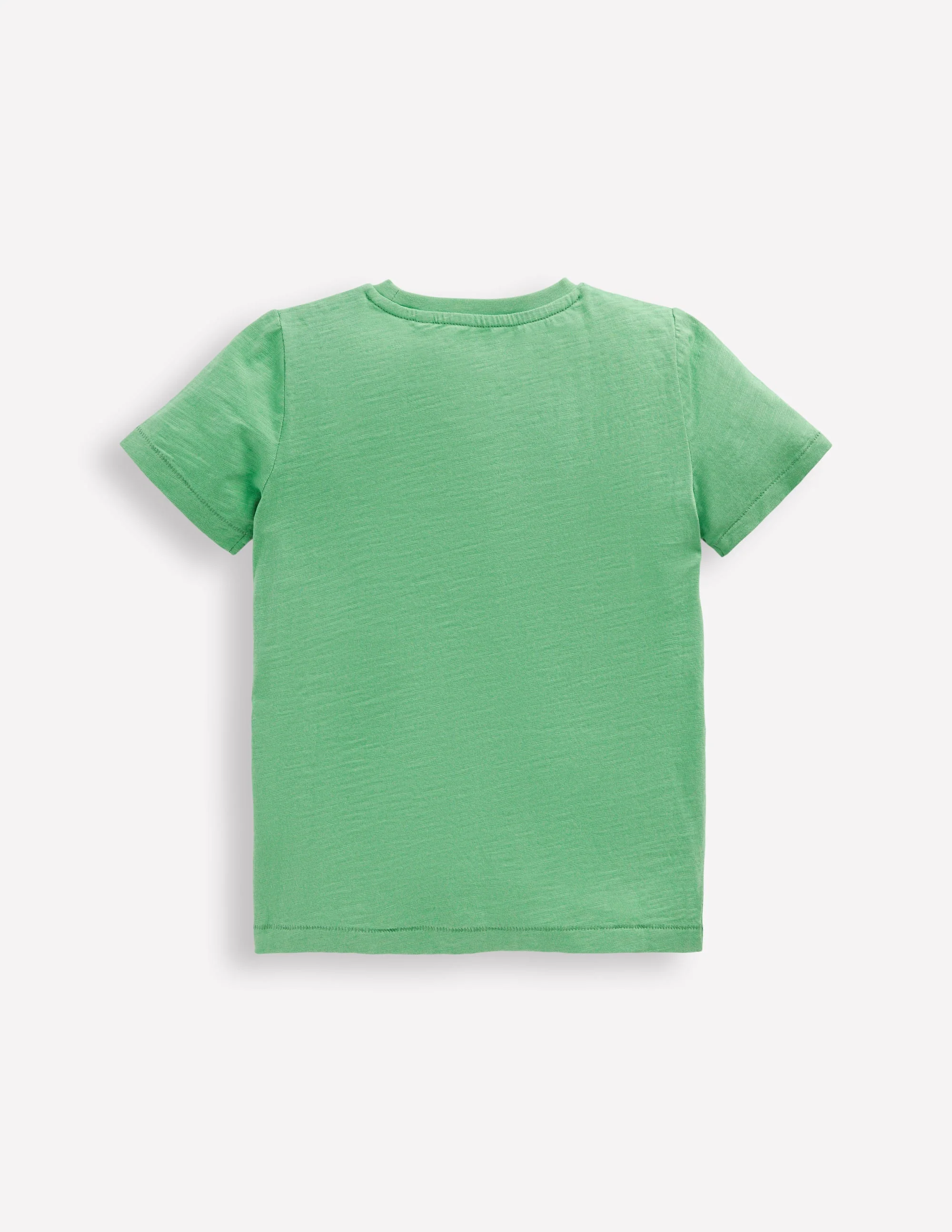 Everyday Short Sleeve T-Shirt-Aloe Green - Image 2