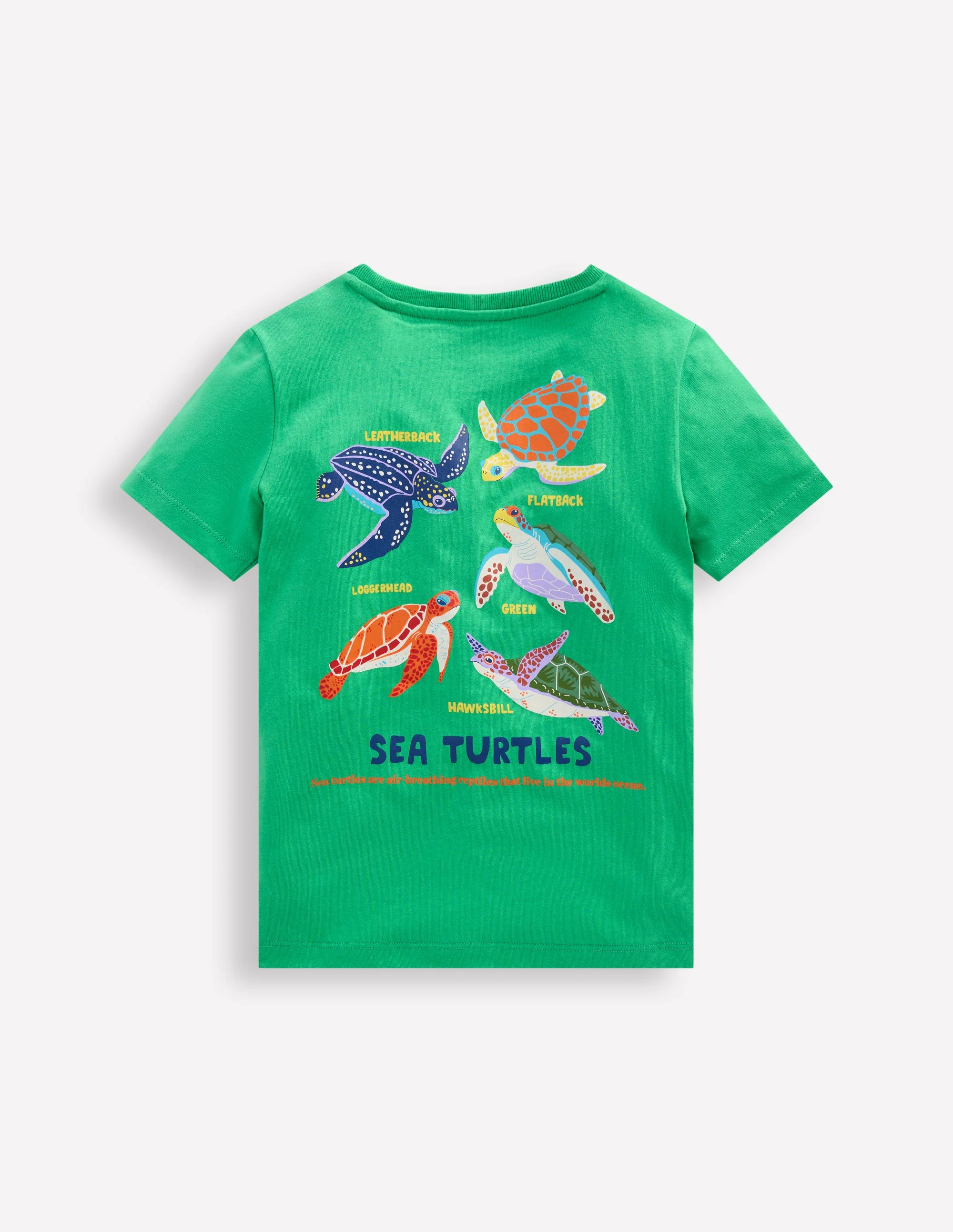Front & Back Printed T-shirt-Aquamarine Blue Turtles - Image 2
